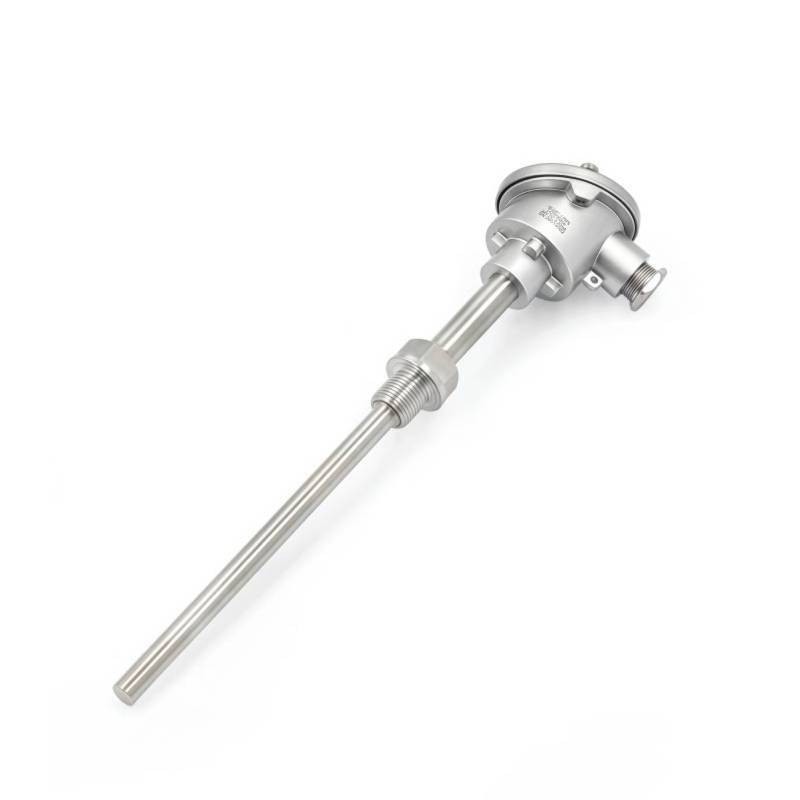 RTD Temperature Sensor